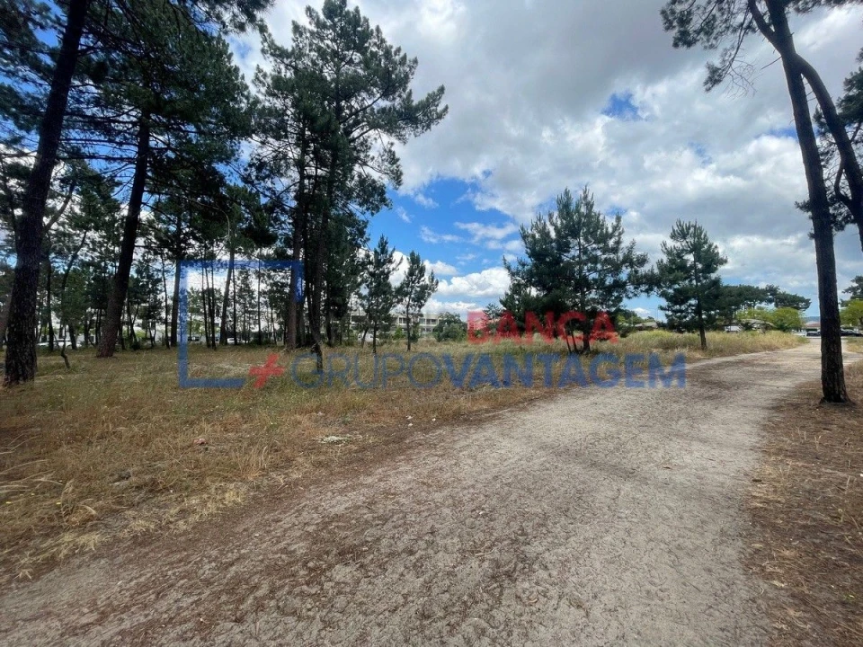 Terreno P/ Prédio para Venda em Azeitão (São Lourenço e São Simão) Foto 1