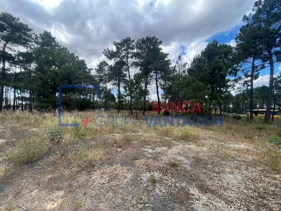 Terreno P/ Prédio para Venda em Azeitão (São Lourenço e São Simão) Foto 12