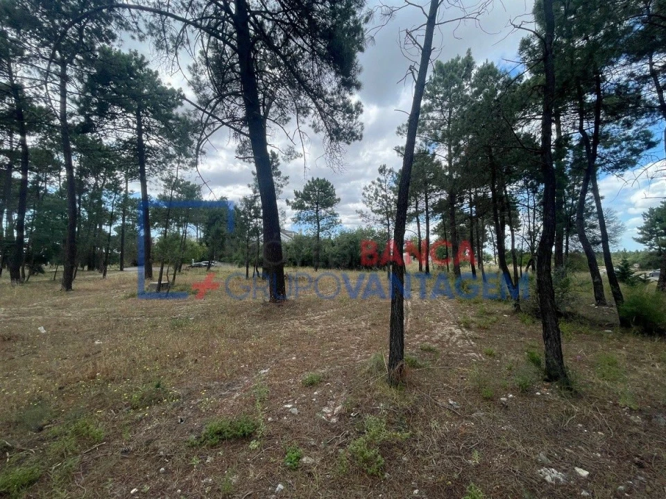 Terreno P/ Prédio para Venda em Azeitão (São Lourenço e São Simão) Foto 14