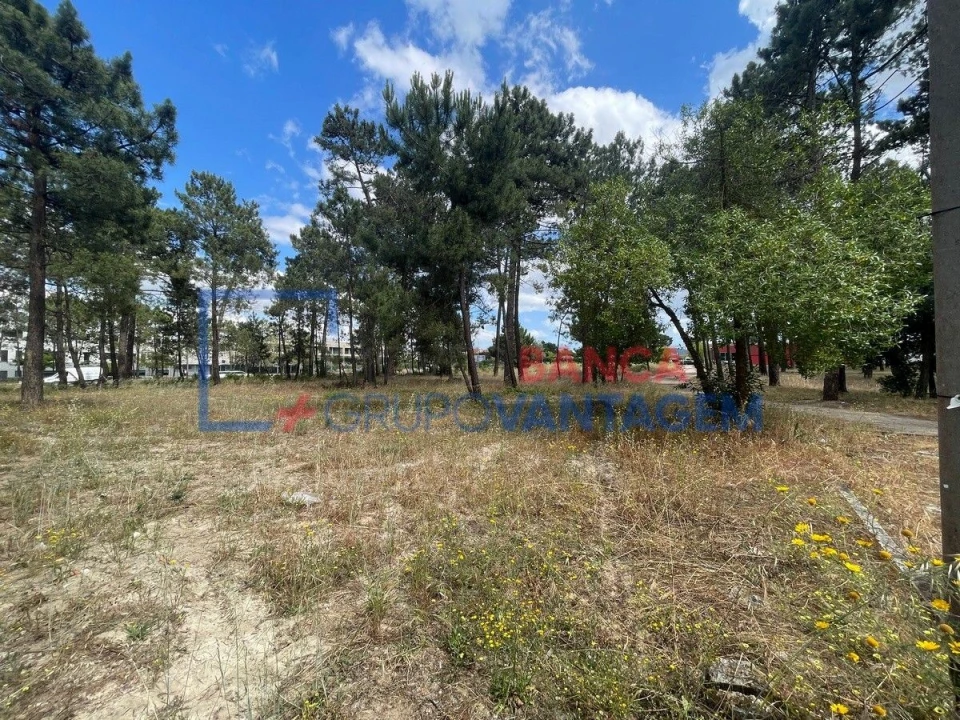 Terreno P/ Prédio para Venda em Azeitão (São Lourenço e São Simão) Foto 16