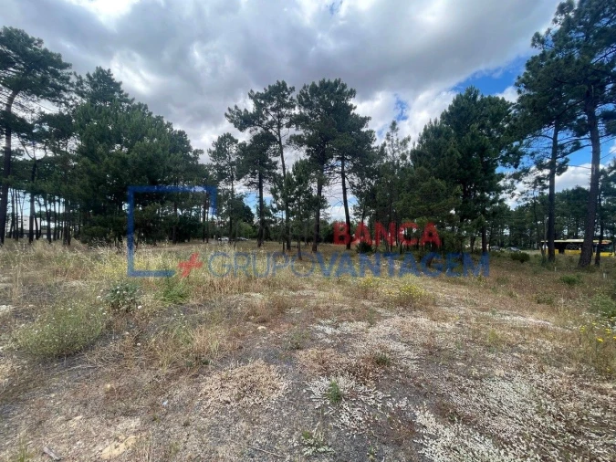 Terreno P/ Prédio para Venda em Azeitão (São Lourenço e São Simão) Foto 12