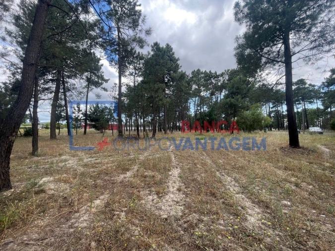 Terreno P/ Prédio para Venda em Azeitão (São Lourenço e São Simão) Foto 15