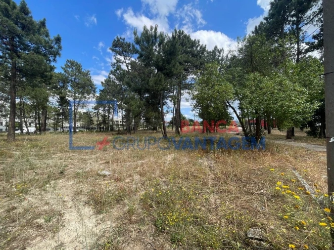 Terreno P/ Prédio para Venda em Azeitão (São Lourenço e São Simão) Foto 16