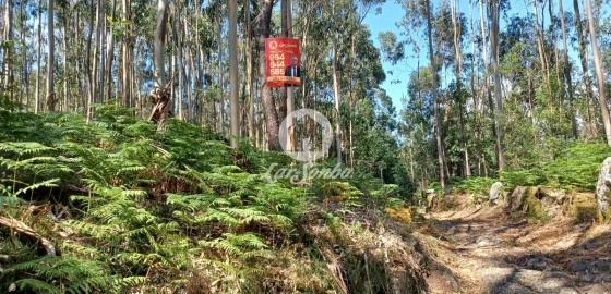 Terreno Agricola ou Rústico para Venda em Ruivães e Novais