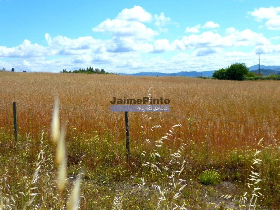 Terreno Agricola ou Rústico para Venda em Belmonte e Colmeal da Torre Foto 2
