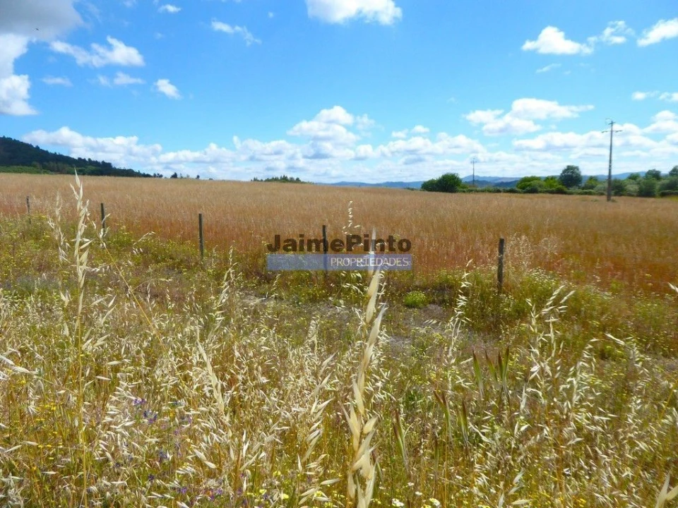 Terreno Agricola ou Rústico para Venda em Belmonte e Colmeal da Torre Foto 4