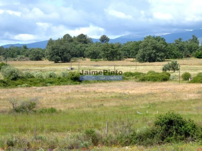 Terreno Agricola ou Rústico para Venda em Belmonte e Colmeal da Torre Foto 1