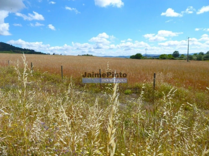 Terreno Agricola ou Rústico para Venda em Belmonte e Colmeal da Torre Foto 4