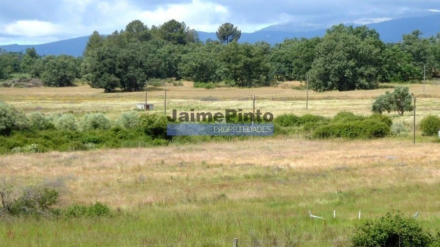 Terreno Agricola ou Rústico para Venda em Belmonte e Colmeal da Torre