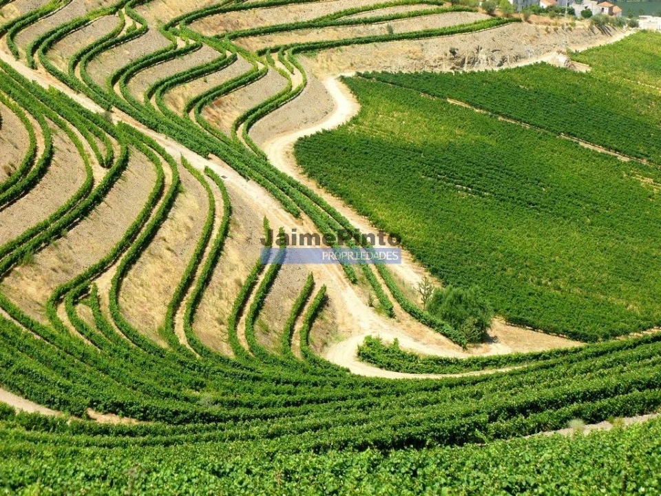 Moradia T4 para Venda em Fontelas Foto 3