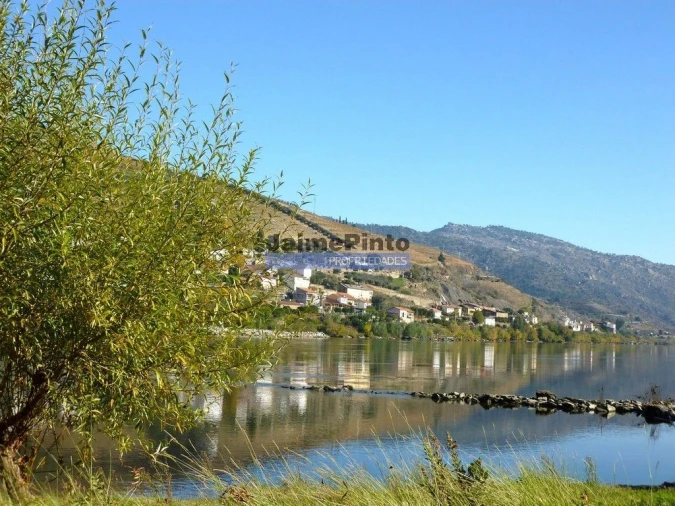 Moradia T4 para Venda em Fontelas Foto 5