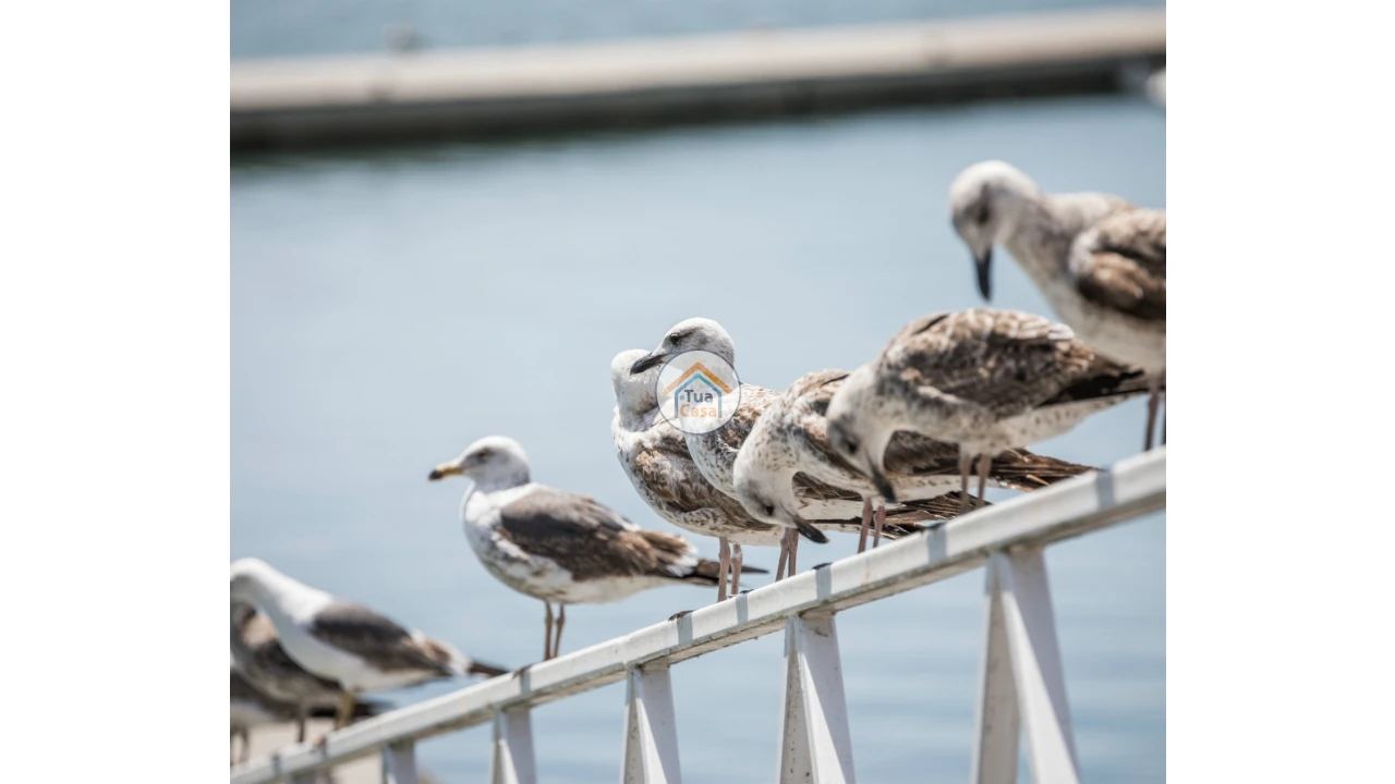 Apartamento T4 para Venda em Olhão Foto 14