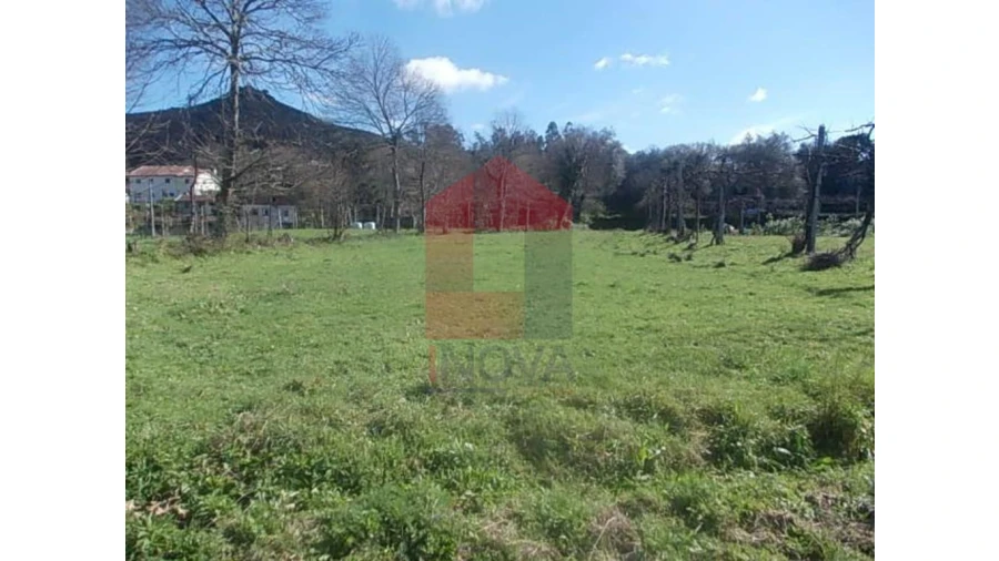 Terreno para Venda em Coucieiro