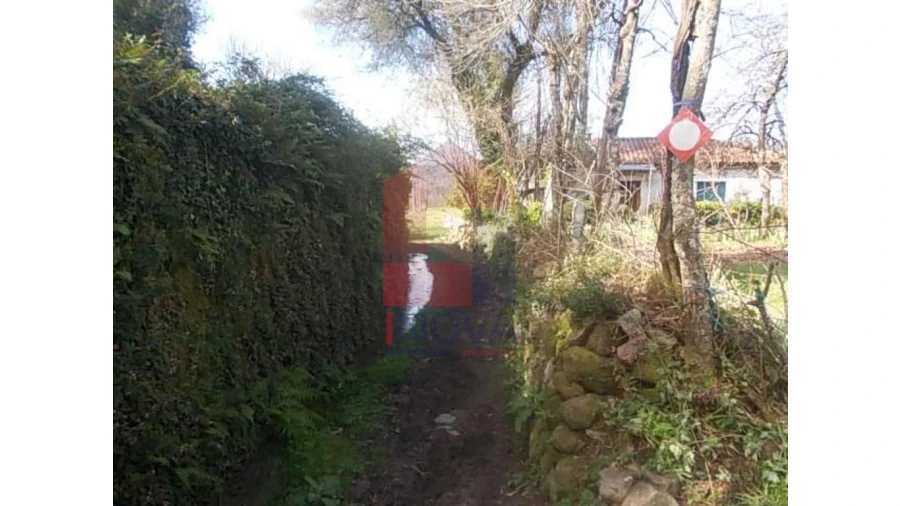 Terreno para Venda em Coucieiro Foto 3