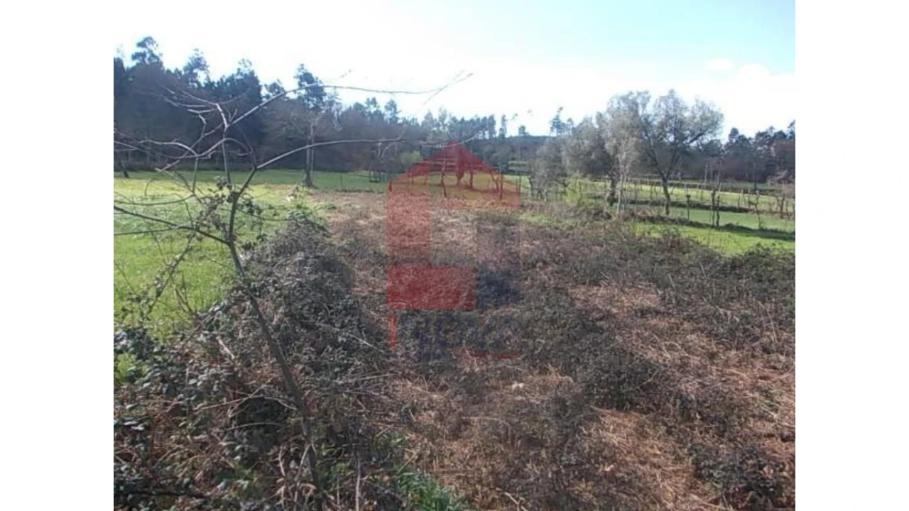 Terreno para Venda em Coucieiro Foto 2
