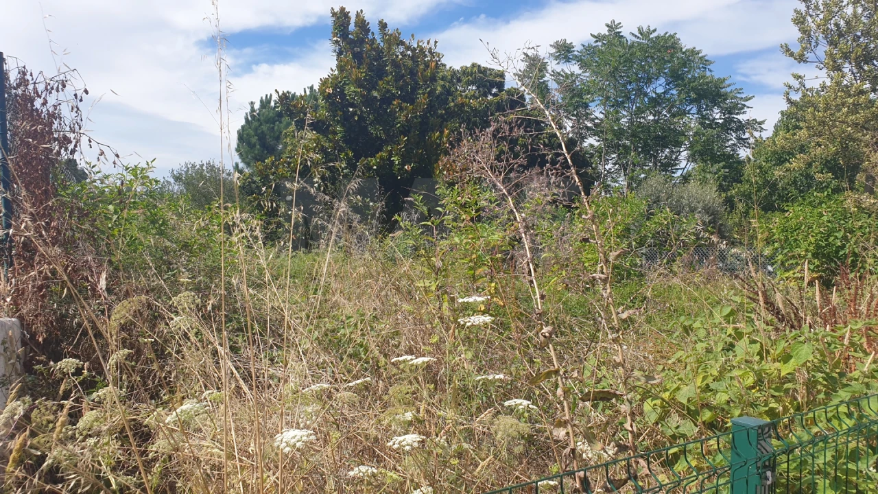 Moradia T3 para Venda em Branca Foto 4