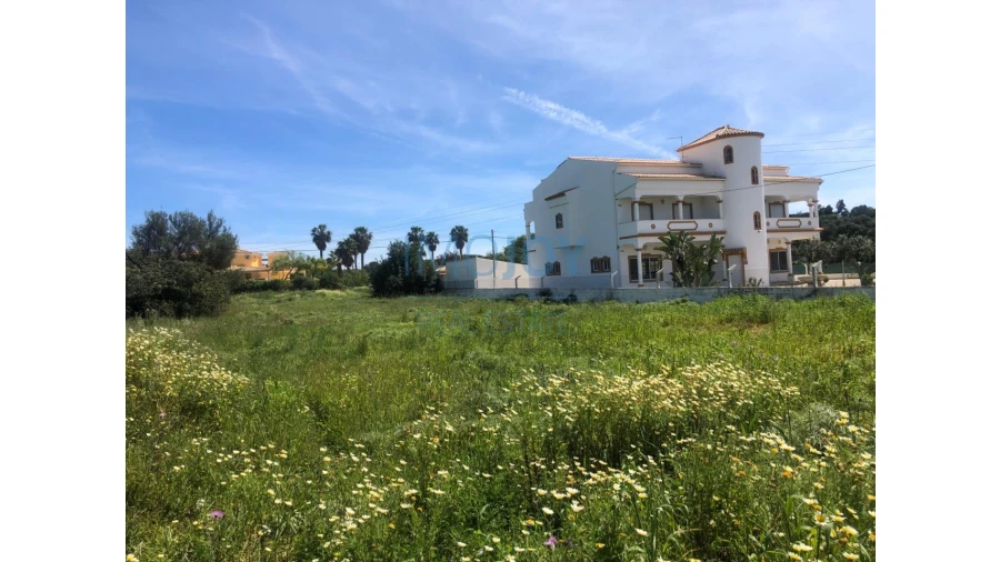 Terreno Agricola ou Rústico para Venda em Almancil Foto 4