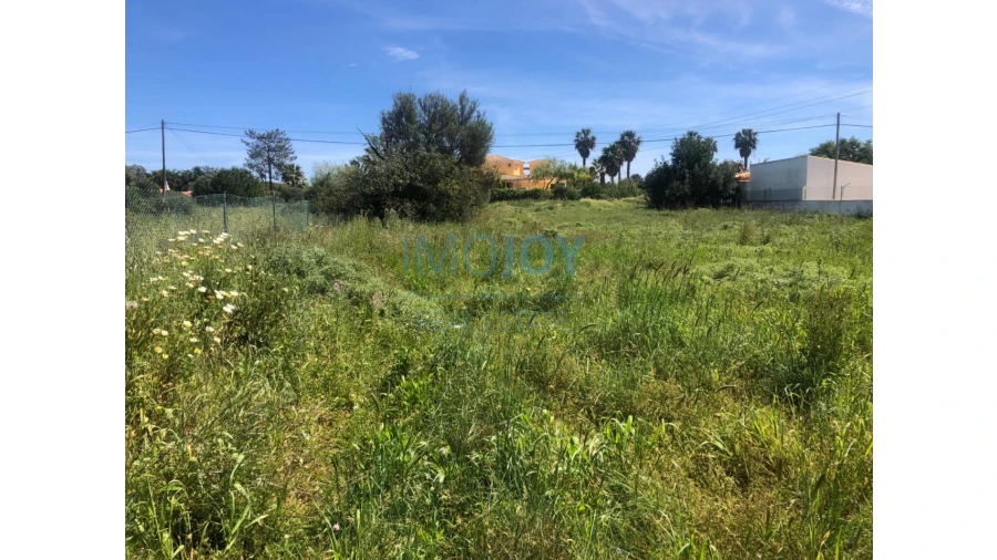 Terreno Agricola ou Rústico para Venda em Almancil Foto 8