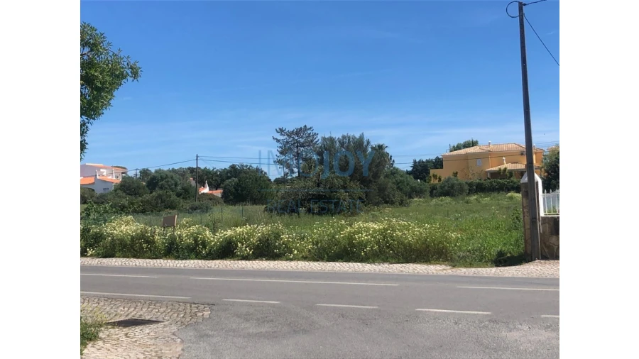 Terreno Agricola ou Rústico para Venda em Almancil Foto 12