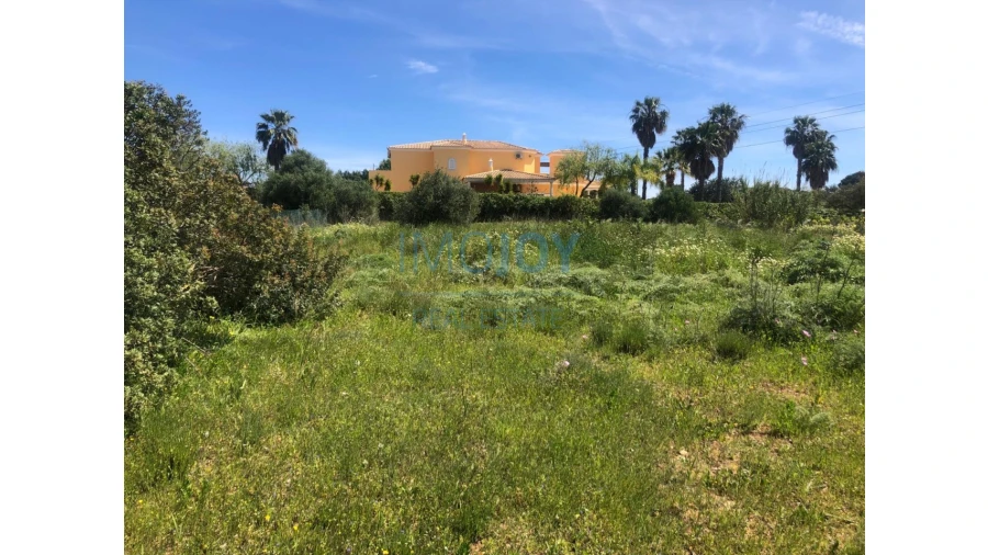 Terreno Agricola ou Rústico para Venda em Almancil Foto 1