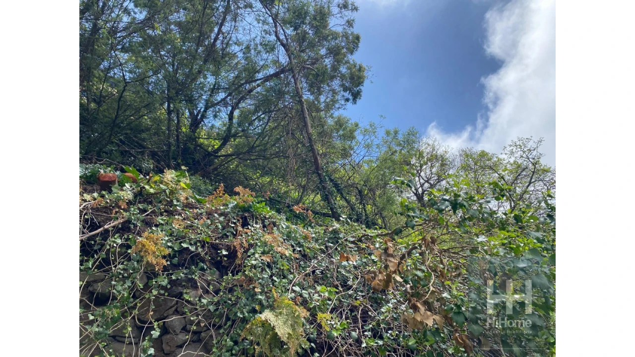 Terreno para Venda em Quinta Grande Foto 3