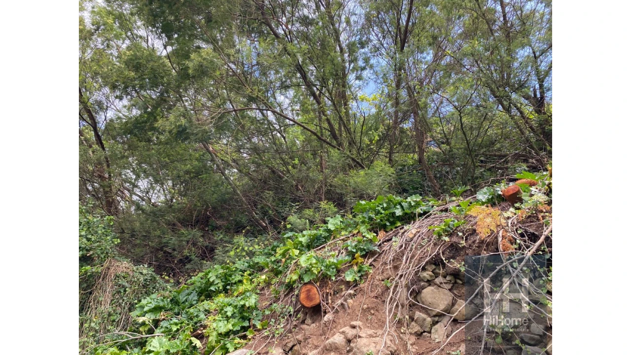Terreno para Venda em Quinta Grande Foto 4
