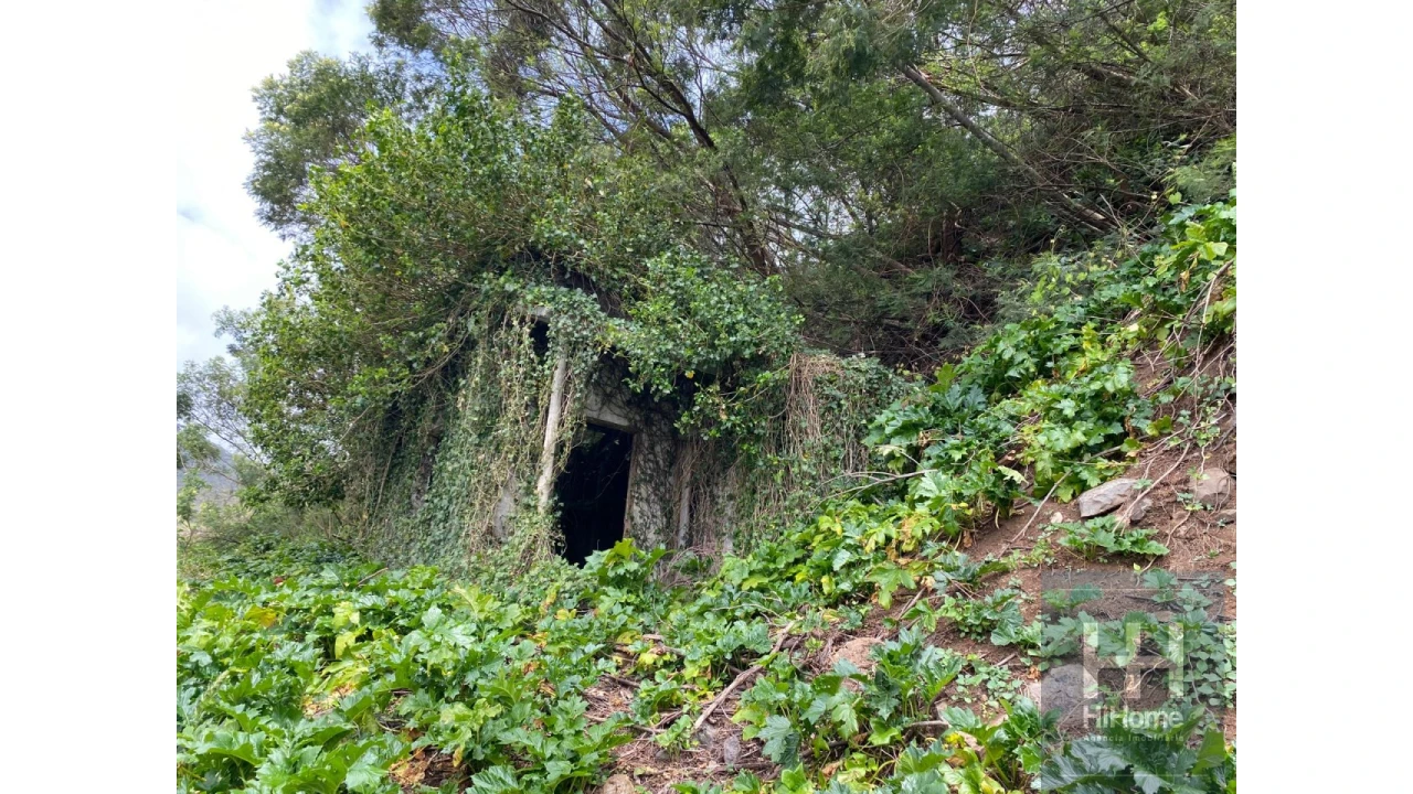 Terreno para Venda em Quinta Grande Foto 6