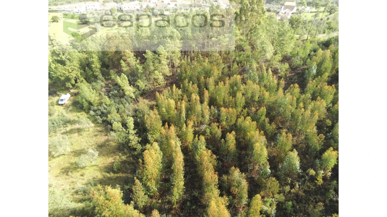 Terreno Agricola ou Rústico para Venda em Sarnadas de Rodão Foto 3