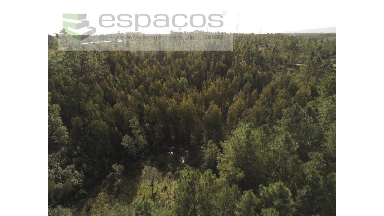 Terreno Agricola ou Rústico para Venda em Sarnadas de Rodão Foto 4