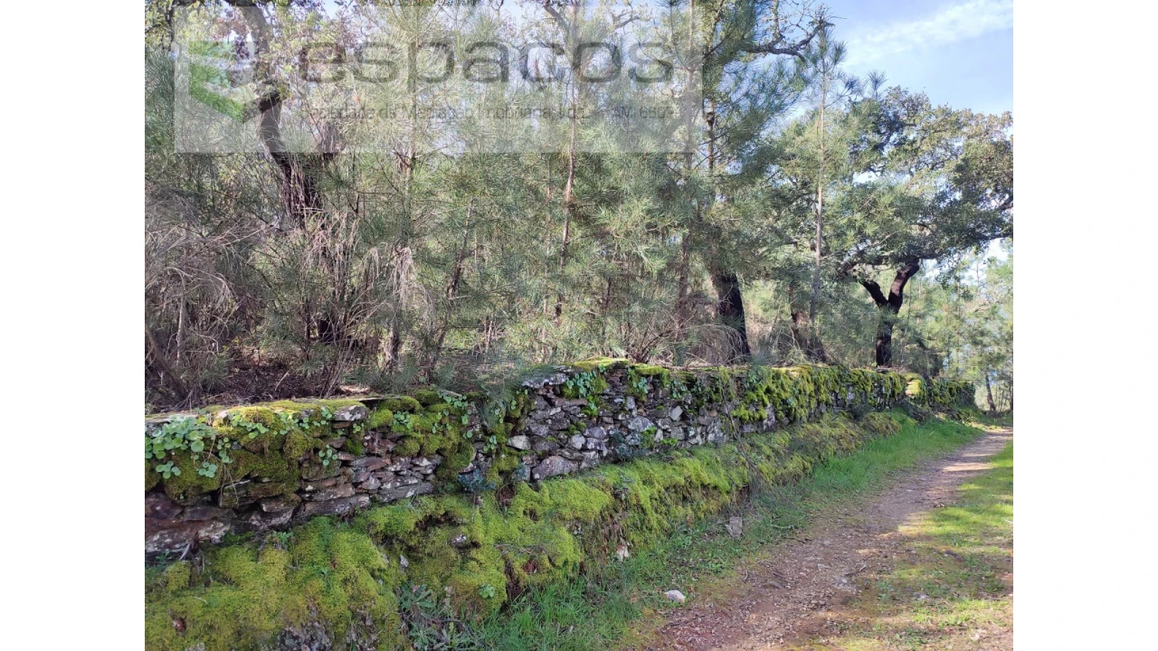 Terreno Agricola ou Rústico para Venda em Sarnadas de Rodão Foto 1