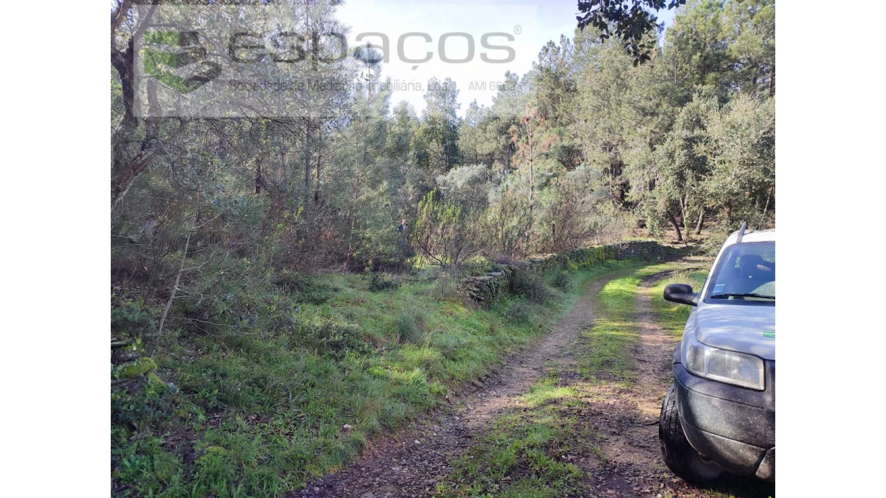 Terreno Agricola ou Rústico para Venda em Sarnadas de Rodão Foto 5