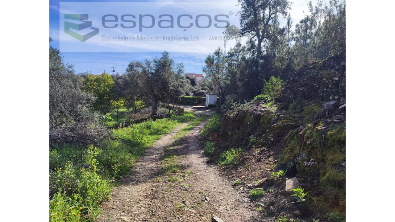 Terreno Agricola ou Rústico para Venda em Sarnadas de Rodão Foto 12