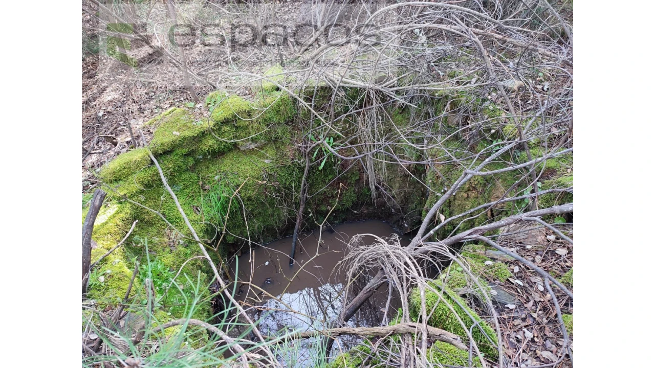 Terreno Agricola ou Rústico para Venda em Sarnadas de Rodão Foto 14