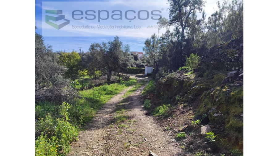 Terreno Agricola ou Rústico para Venda em Sarnadas de Rodão Foto 12
