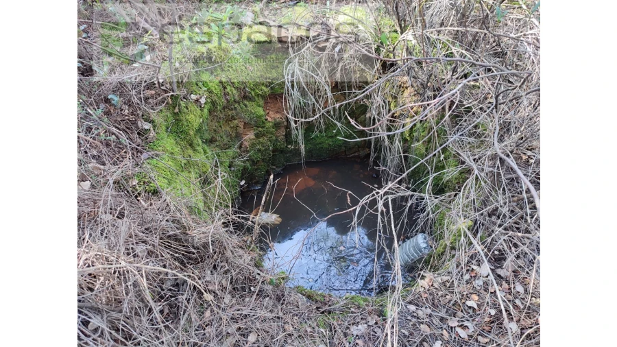 Terreno Agricola ou Rústico para Venda em Sarnadas de Rodão Foto 13