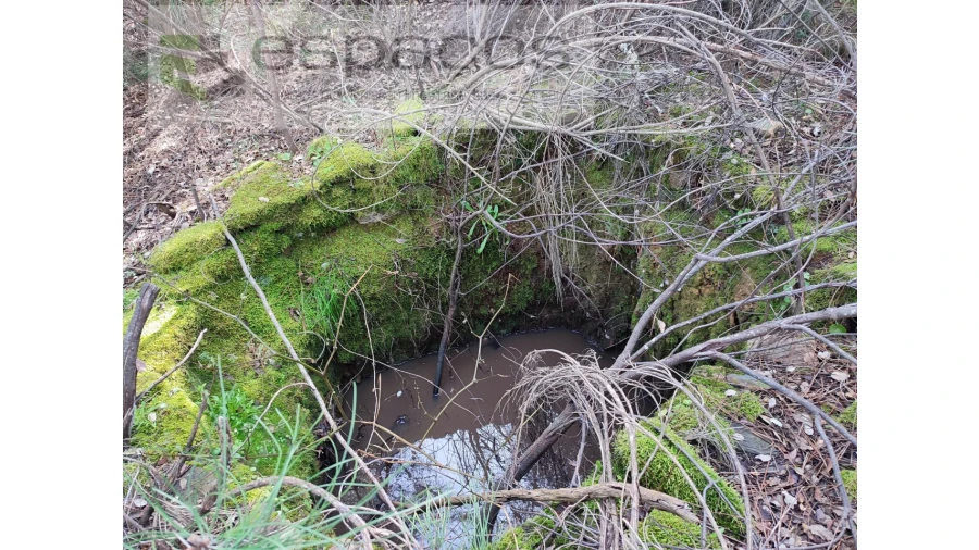 Terreno Agricola ou Rústico para Venda em Sarnadas de Rodão Foto 14