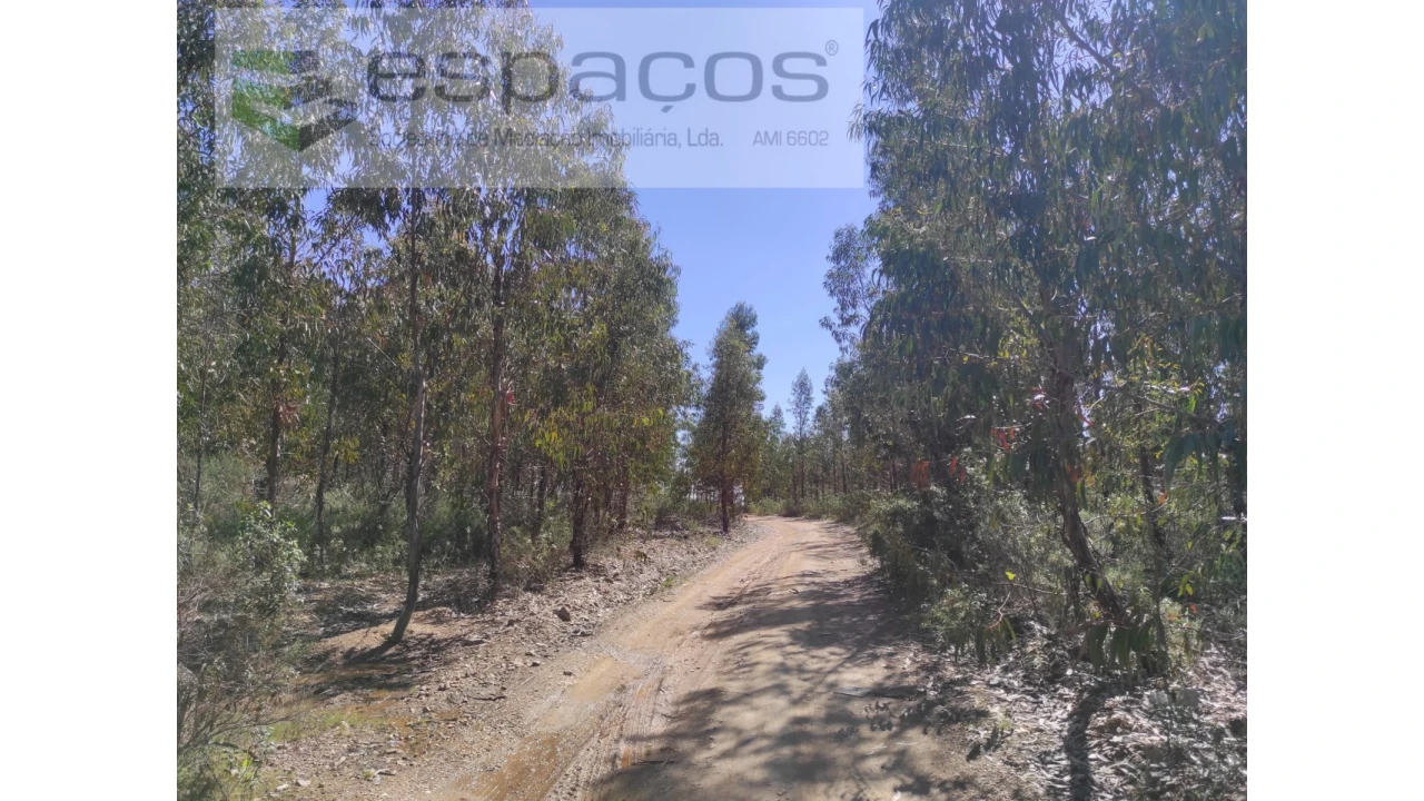 Terreno Agricola ou Rústico para Venda em Freixial e Juncal do Campo Foto 1