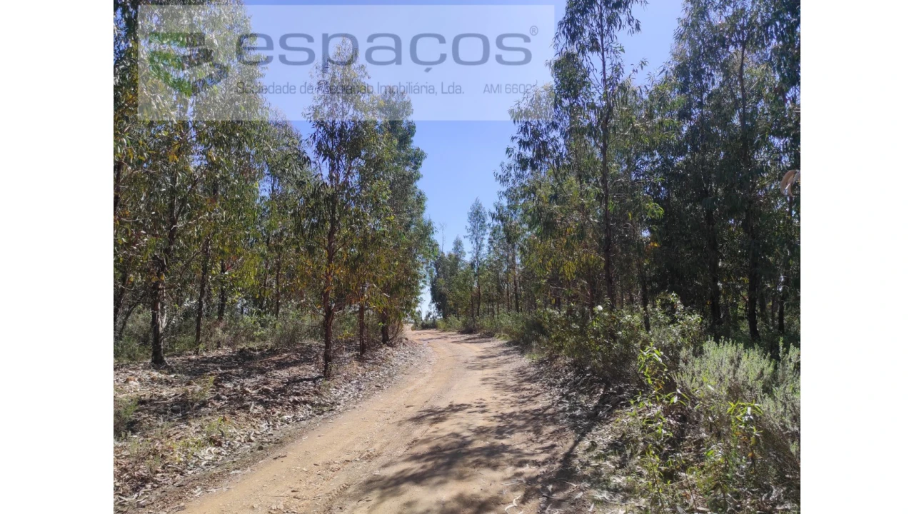 Terreno Agricola ou Rústico para Venda em Freixial e Juncal do Campo Foto 4