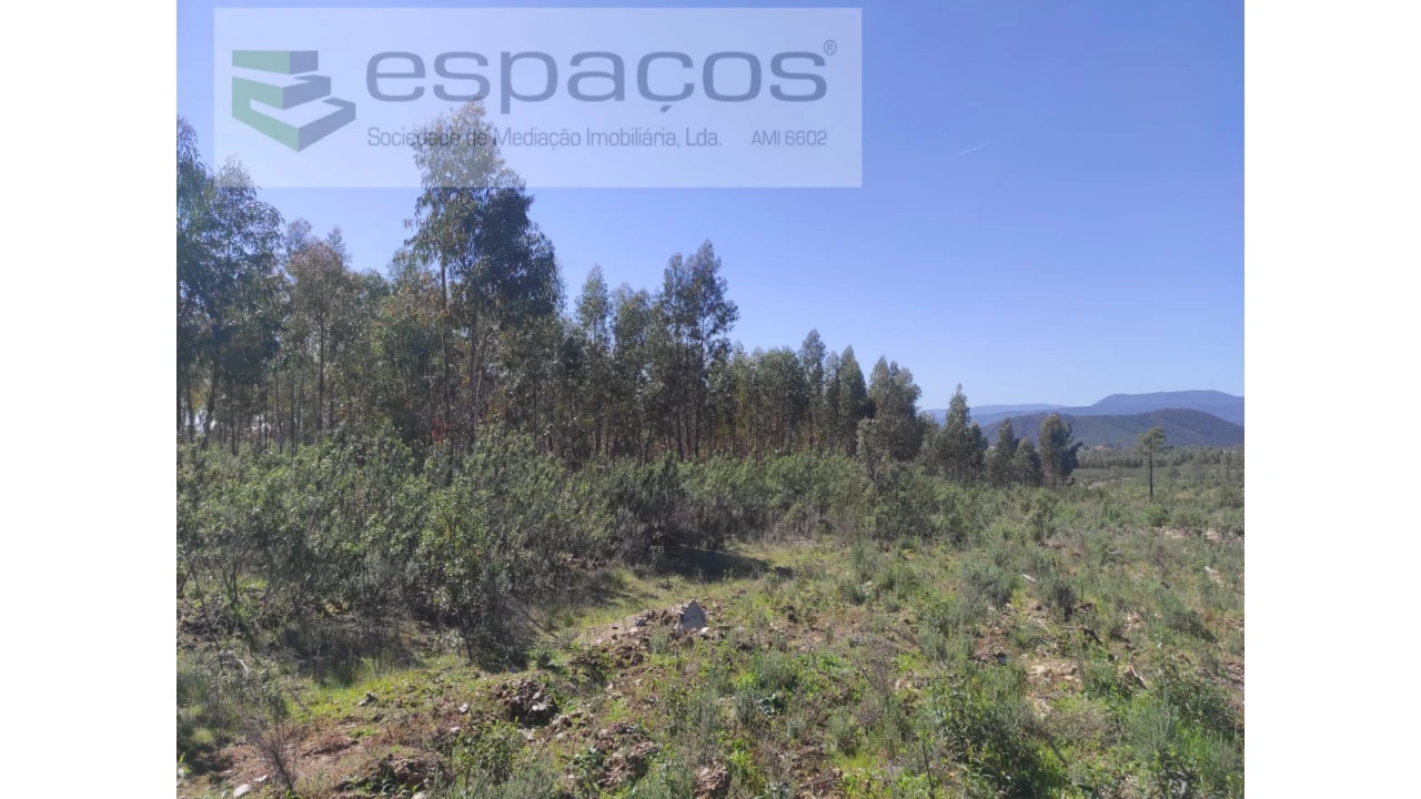 Terreno Agricola ou Rústico para Venda em Freixial e Juncal do Campo Foto 6