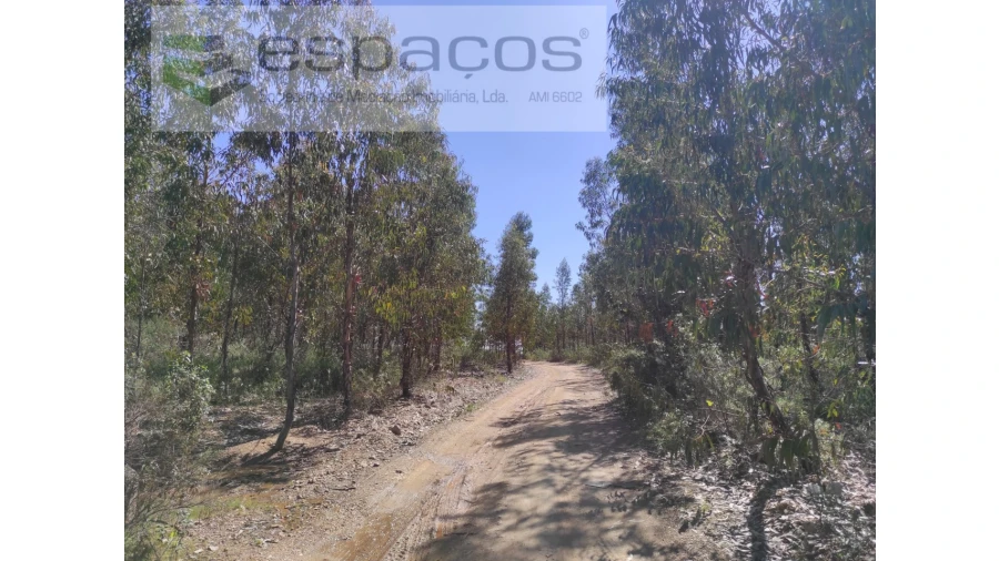 Terreno Agricola ou Rústico para Venda em Freixial e Juncal do Campo Foto 1