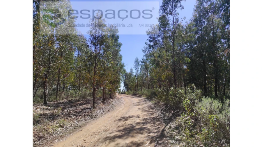 Terreno Agricola ou Rústico para Venda em Freixial e Juncal do Campo Foto 4