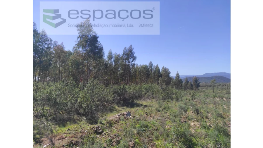 Terreno Agricola ou Rústico para Venda em Freixial e Juncal do Campo Foto 6