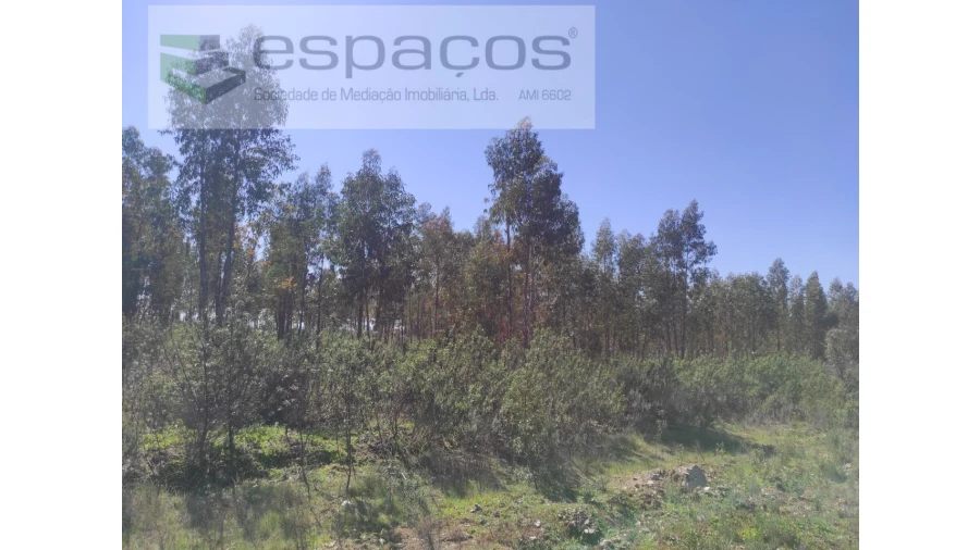 Terreno Agricola ou Rústico para Venda em Freixial e Juncal do Campo Foto 7