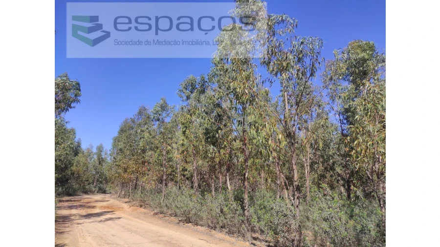 Terreno Agricola ou Rústico para Venda em Freixial e Juncal do Campo Foto 11