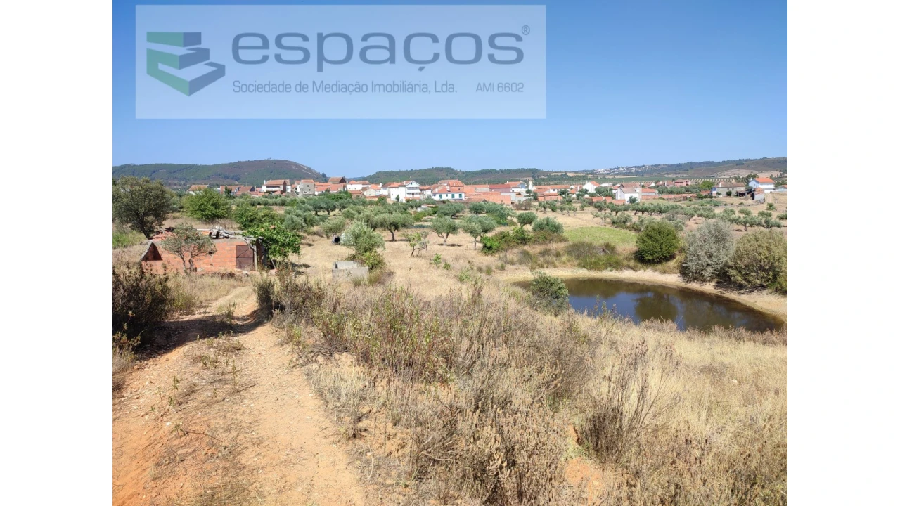 Quinta para Venda em Freixial e Juncal do Campo Foto 2