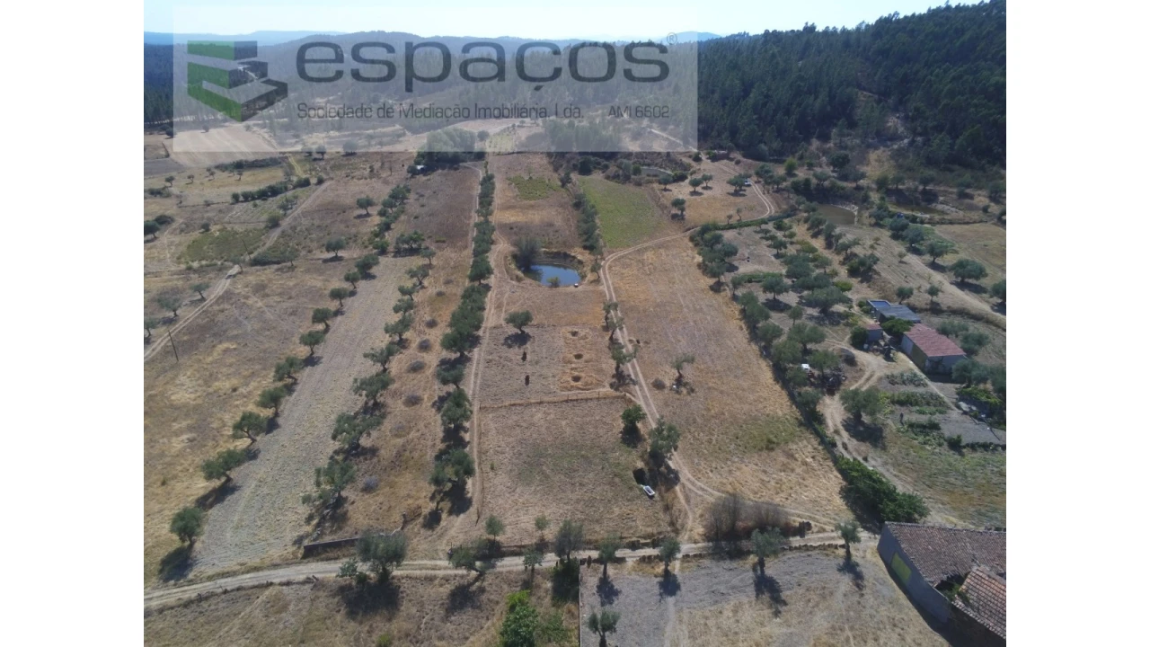 Quinta para Venda em Freixial e Juncal do Campo Foto 3