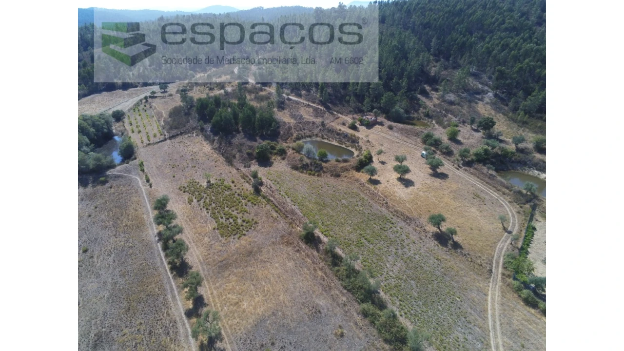 Quinta para Venda em Freixial e Juncal do Campo Foto 4