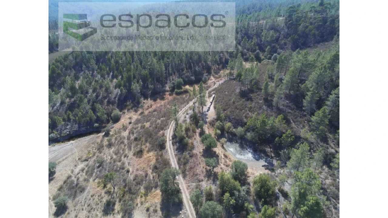 Quinta para Venda em Freixial e Juncal do Campo Foto 5