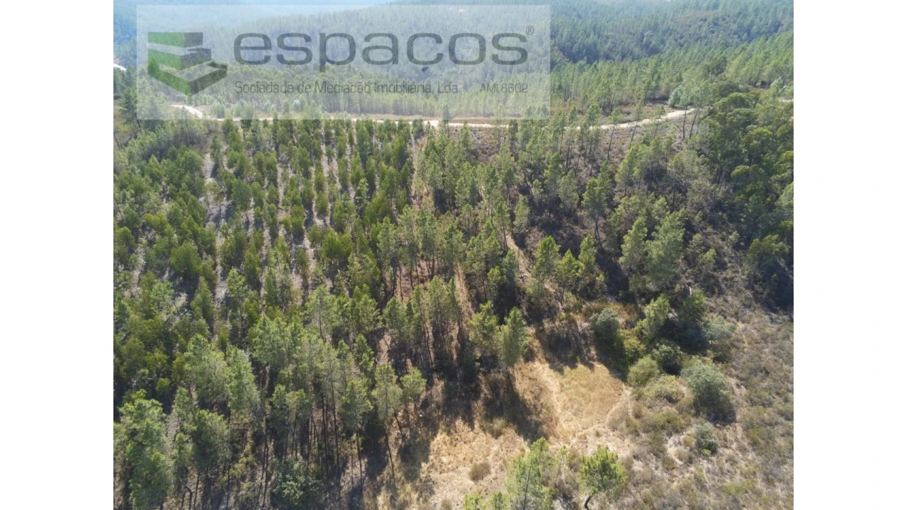 Quinta para Venda em Freixial e Juncal do Campo Foto 6