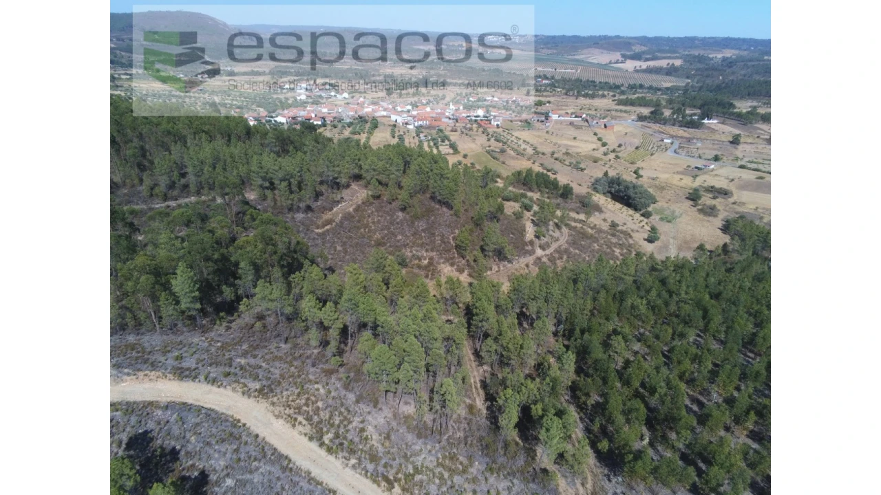 Quinta para Venda em Freixial e Juncal do Campo Foto 7